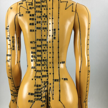 清刻字铜色针灸人体穴位50cm男模型经络通中医美术教学男女小人 铜色