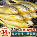 馋鱼往事轮切三文鱼排500g冷冻中段三文鱼扒大西洋鲑鱼生鲜鱼类轮切 