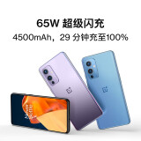 一加 OnePlus 9 5G 120Hz 柔性屏12GB+256GB 紫翼 骁龙888 65W快充 哈苏专业模式 超广角拍照游戏手机