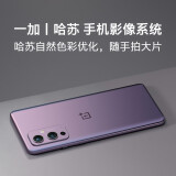 一加 OnePlus 9 5G 120Hz 柔性屏12GB+256GB 紫翼 骁龙888 65W快充 哈苏专业模式 超广角拍照游戏手机