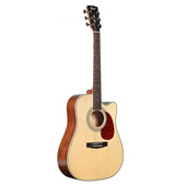 Cort 考特L100F NS