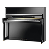 SCHIMMEL S-5