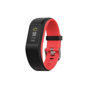 佳明 vivosport