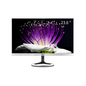 AOC P2491VW/BW