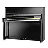SCHIMMEL 其他型号