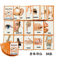 身体部位认知书目 身体部位认知作品 京东图书