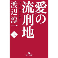 愛の流刑地 商品搜索 京东
