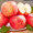 【果哒哒】陕西延安红富士新鲜苹果水果24枚礼盒装80－85mm   洛川红富士苹果