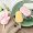 天喜(TIANXI)雪糕模具3套装 DIY自制硅胶家用创意卡通可爱冰淇淋冰棍冰棒冰糕冰盒模具格(兔子+猫爪+椭圆款)