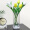 墨斗鱼玻璃方缸花瓶玫瑰百合北欧简约客厅茶几家居餐厅装饰花器摆件2876