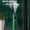 CIH 【2024上新】德国绿植加湿器T6家用静音卧室孕妇大雾量落地办公室小型喷雾 绿色 [TJ-T6]