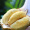 佳沃（joyvio）泰国进口金枕头榴莲 3.5-4kg 1个装 新鲜水果