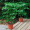 御春阁 幸福树富贵树 绿色植物办公室绿植花卉室内植物盆栽盆景 不含盆 独杆1.5--1.6米