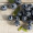 Driscoll's 怡颗莓 秘鲁进口蓝莓 1盒 约125g/盒 新鲜水果 核酸已检测