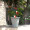 环球 圆形加厚塑料花盆室内户外月季玫瑰绿萝种植盆室外阳台栽花盆 浅灰色带托盘-口径30cm