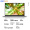 ThinkPad 联想ThinkBook 14+酷睿版 2024款Ultra可选 AI PC 手提便携轻薄本商务办公游戏设计笔记本电脑 i5-13500H 锐矩显卡 16G内存 512G固态硬盘 高色