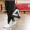 京东京造防水运动抽绳包 男女运动包排球足球健身双肩包 黑色