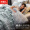 南极人NanJiren 全棉四件套100%纯棉套件床单款 床上用品双人被套200*230cm 1.5/1.8米床小清新网红ins风