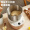 小熊（Bear）和面机 揉面机 厨师机 全自动家用多功能智能活面搅面机 面包面粉发酵醒面 HMJ-A35M1 3.5L