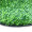 夺秀 仿真草坪地毯塑料假草皮 人造草坪阳台户外人工草坪幼儿园假草坪 质保30mm春草加密加厚（仿生款/大机生产）/平方 优等品