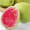 一颗绿芯 广西红心芭乐5斤 番石榴水果 新鲜应季水果 产地直发包邮