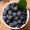 秘鲁进口蓝莓 2盒装 125g/盒 新鲜水果 核酸已检测