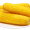 闲居人  东北黄甜糯玉米棒 新鲜黏玉米 非转基因 6支装1.5kg 健康轻食  真空包装 