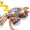 【活蟹】蟹众 鲜活六月黄现货实物 螃蟹礼盒 活鲜海鲜水产 1.0-1.3两/只 12只
