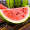 海南麒麟西瓜 甜瓜 1粒装 单果2.5kg以上 新鲜水果