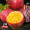 纯香果 广西百香果 新鲜水果 生鲜优选 净重 5斤【特大果】单果60-100g