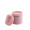 多样屋（TAYOHYA）TA010302029ZZ 粉晶 单层保温手提餐桶0.6L 企业款定制（5个起售）