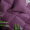 Snowman/斯诺曼被芯 羽绒羽毛舒适鹅毛被 加厚保暖冬被 防绒被芯 紫色 充2.7kg 1.8米床 9斤 220*240cm