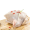 莘地（SHENDI）[莘县馆] 农家老母鸡 走地鸡笨鸡 新鲜鸡肉 约2.5斤/只 2只装