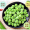 豌豆荚新鲜农家蔬菜带壳毛豆现发 优惠带箱5斤装带壳豌豆