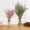 雨花泽 创意北欧玻璃花瓶 欧式花器家居摆件透明水培插花麻绳干花装饰品（5件套）
