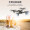 诺巴曼 高清无人机航拍飞行器 双摄无人拍摄飞机航模 大型长续航男孩儿童玩具遥控飞机 X8