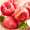 果哒哒（guodada）陕西延安红富士新鲜苹果水果24枚礼盒装80－85mm  洛川红富士苹果