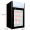 捷盛（JS） 50L 立式小型冷冻展示柜冷冻榴莲雪糕冰淇淋商用冰柜玻璃单门小冰箱 黑色