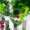 豫之韵仿真蔬菜假花藤条仿真藤阳台装饰绿叶藤条藤蔓壁挂3d彩印实心果子 葡萄