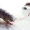 派乐特 猫玩具自嗨逗猫棒激光笔红外线自动电动蝴蝶不倒翁幼猫小猫咪玩具猫转盘 猫玩具4件套