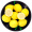 四川安岳黄柠檬4颗 一级中果 单果约90-110g 莫吉托 新鲜水果 新鲜水果