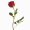 初卉（C·hui）鲜花同城配送玫瑰花生日鲜花速递全国花店送花上门女生礼物北京 C款-33朵红玫瑰礼盒 鲜花
