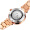 雷迈表（REIMAH）手表带日历钢带女士全自动机械腕表时尚潮流优雅你女表8106L L8106.RW 女玫