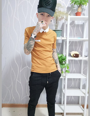 快手网红仔仔同款短袖t恤男精神社会小伙修身衬衫领纯色t恤男半袖