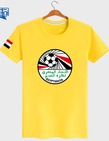 埃及足球队服(埃及国家队队服) 埃及足球队服 第2张