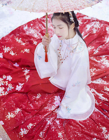 汉尚华莲传统汉服女装日常百搭秋冬款团花刺绣马面裙大摆大红色 仅