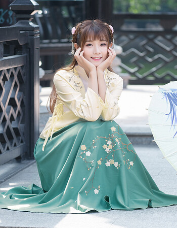 实拍女款2018原创秋装新款文艺复古绣花系带交领汉服长袖上衣 杏色 xl