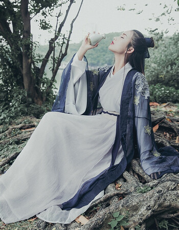 魏晋风两重交领齐腰襦裙大袖衫传统汉服男女同款 九歌 大袖衫 m