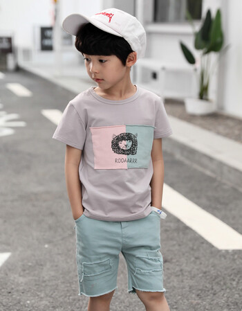 lanweifeilei6男童4夏装7套装5中大童小孩衣服9男装8短袖10儿童12夏天