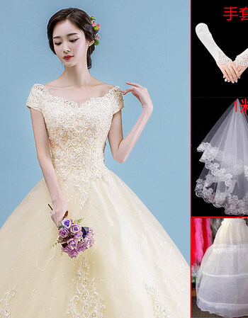 2018新款新娘简约齐地欧美宫廷长拖尾公主梦幻显瘦 香槟色齐地三件套